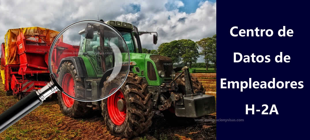 Buscador de empresas que patrocinan visas