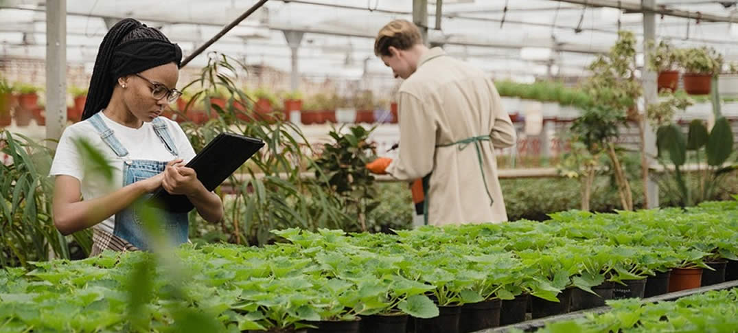 Trabajar en Estados Unidos